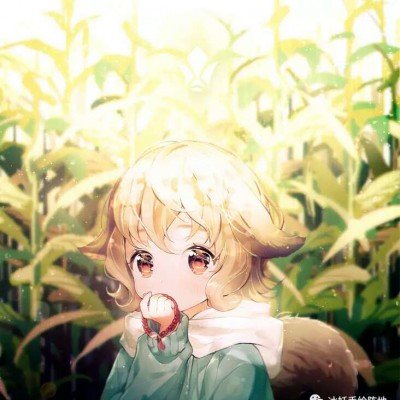 京东宠物节请客全国毛孩子